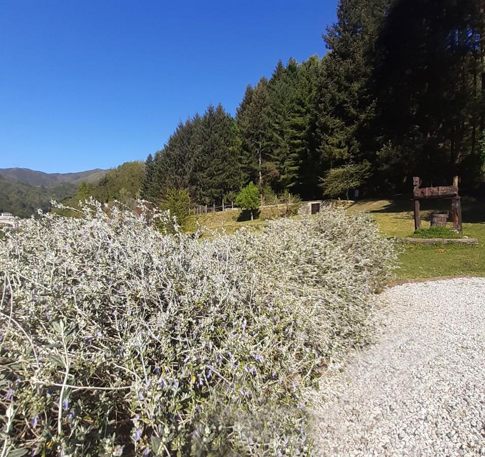 Il Bosco di Campo Marzano green&sky Borzonasca Buitenkant foto